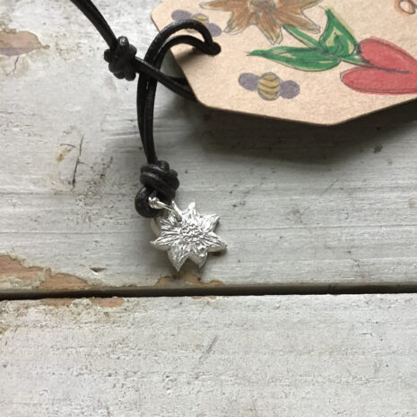 A98D6AF1-F3CF-4594-9E33-1CE5823A9B09 A98D6AF1-F3CF-4594-9E33-1CE5823A9B09